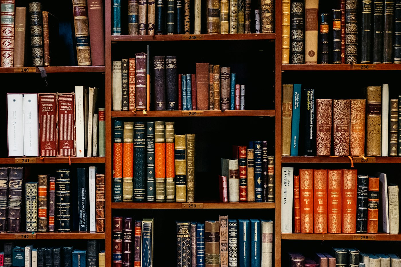 Книжкові полиці в світлій бібліотеці